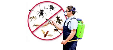 exterminator east brunswick nj|Top 10 Best Pest control specialists in East Brunswick, NJ